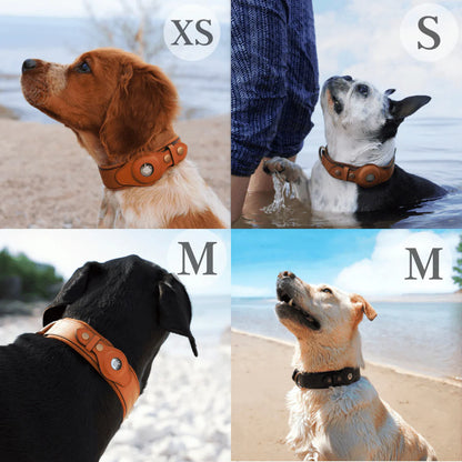 Genuine Leather AirTag Dog Collar