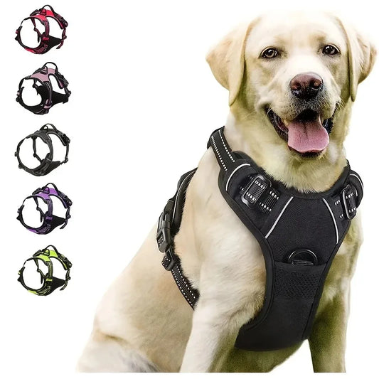 Vest Dog Collar