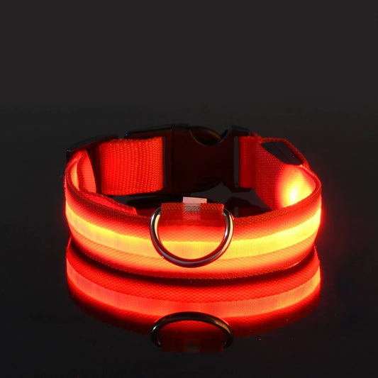 Fluorescent Night Safety Dog Collar