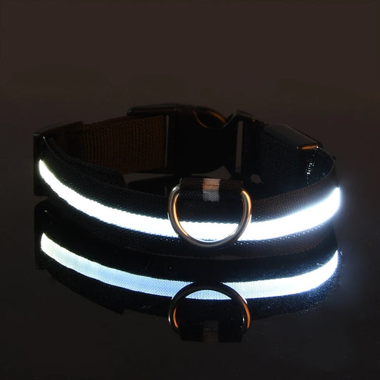 Fluorescent Night Safety Dog Collar