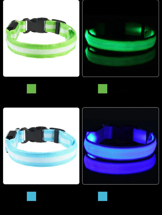 Fluorescent Night Safety Dog Collar