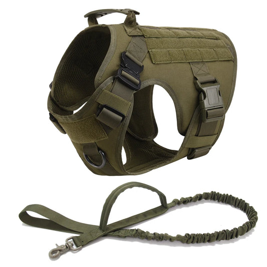 Military Dog Collar