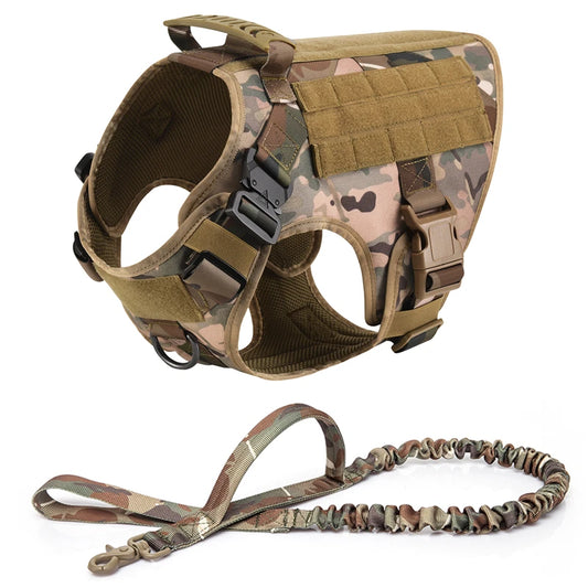 Military Dog Collar