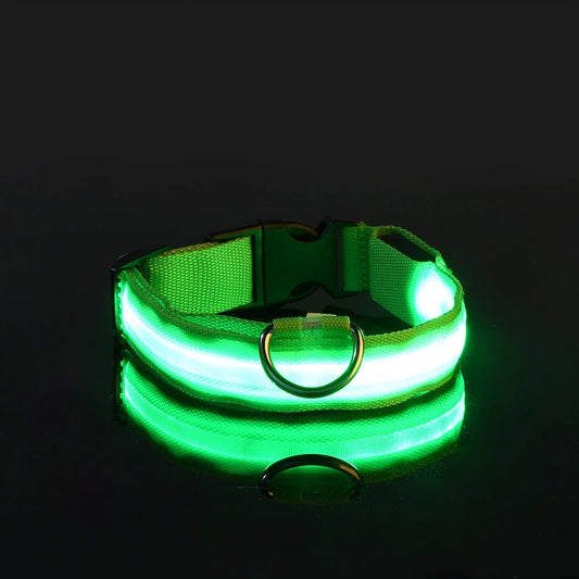 Fluorescent Night Safety Dog Collar