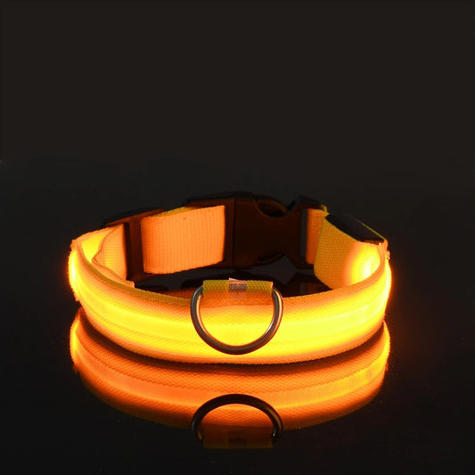 Fluorescent Night Safety Dog Collar