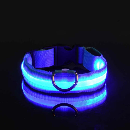 Fluorescent Night Safety Dog Collar