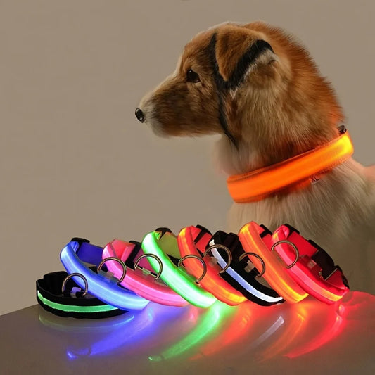 Fluorescent Night Safety Dog Collar