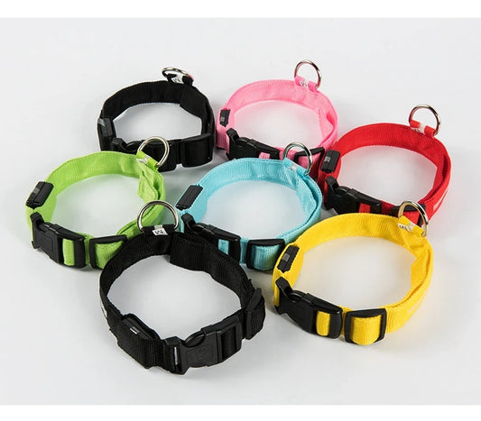 Fluorescent Night Safety Dog Collar