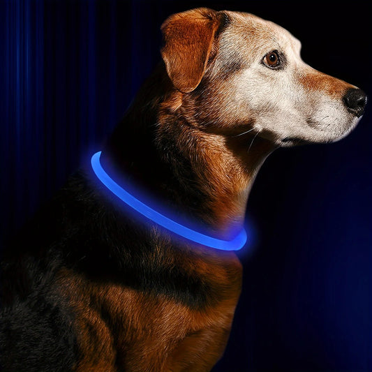 LED Light Night Safety Dog Collar