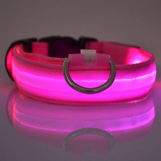 Fluorescent Night Safety Dog Collar