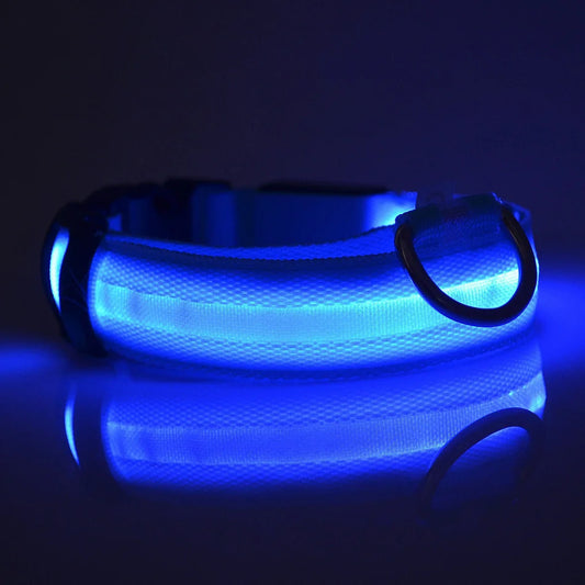 Fluorescent Night Safety Dog Collar