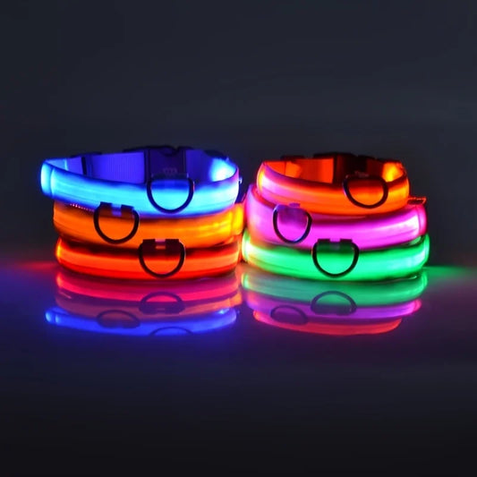 Fluorescent Night Safety Dog Collar