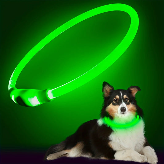 LED Light Night Safety Dog Collar