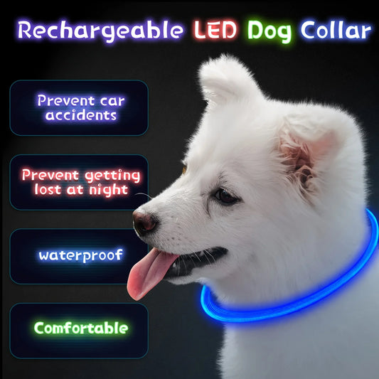 LED Light Night Safety Dog Collar