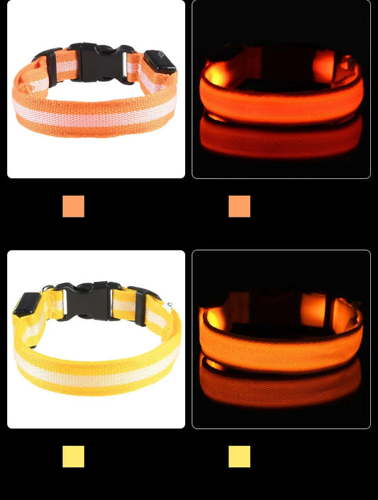 Fluorescent Night Safety Dog Collar