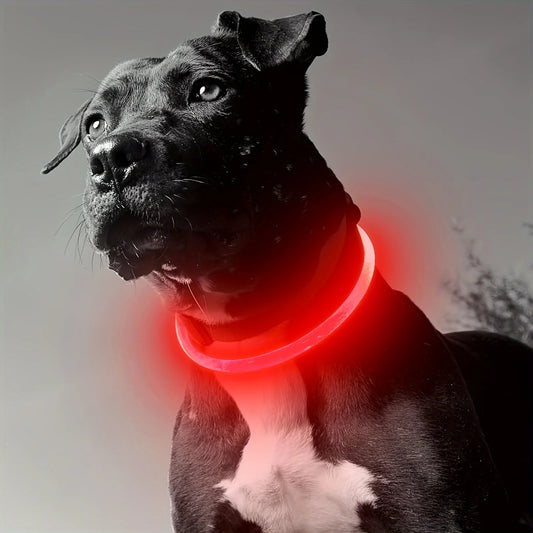 LED Light Night Safety Dog Collar