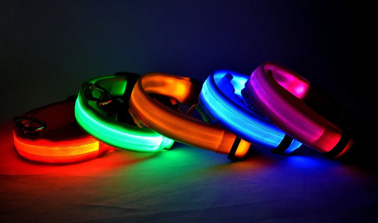 Fluorescent Night Safety Dog Collar