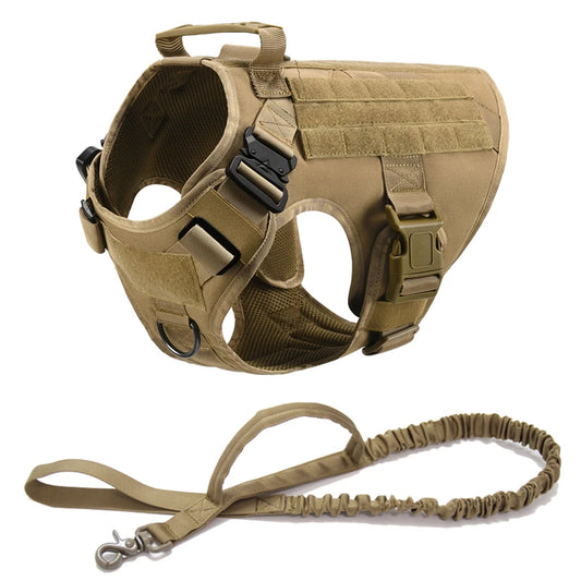 Military Dog Collar