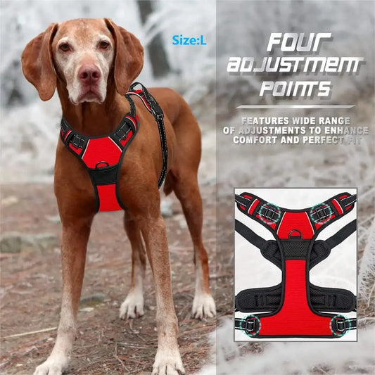 Vest Dog Collar