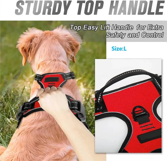 Vest Dog Collar